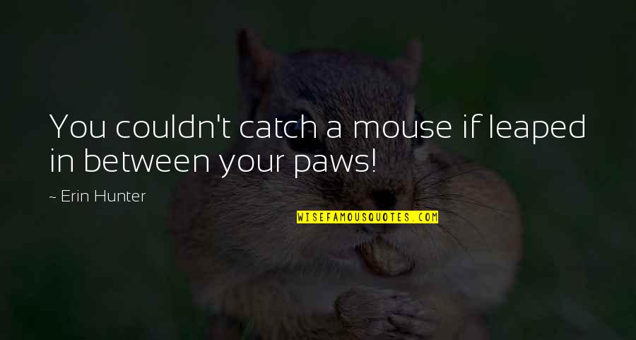 Paws Quotes By Erin Hunter: You couldn't catch a mouse if leaped in