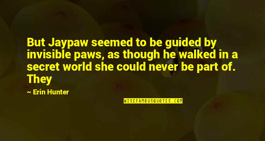 Paws Quotes By Erin Hunter: But Jaypaw seemed to be guided by invisible