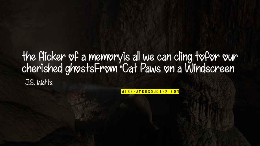 Paws Quotes By J.S. Watts: the flicker of a memoryis all we can
