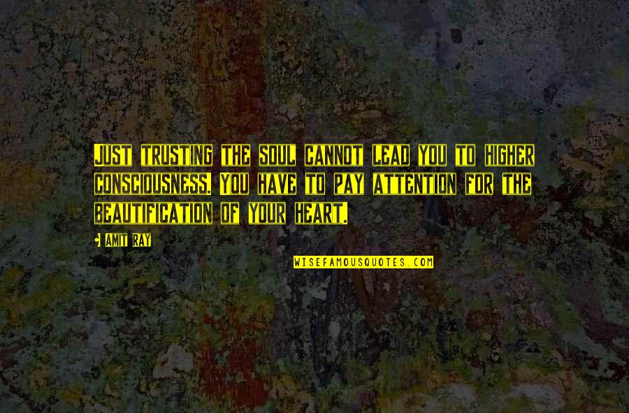 Pay Attention To Quotes By Amit Ray: Just trusting the soul cannot lead you to