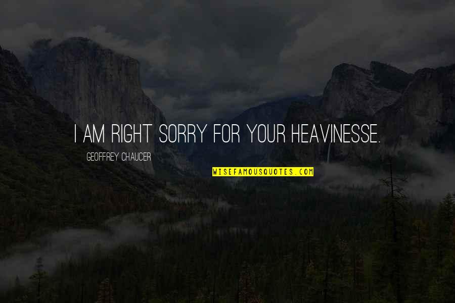 Pay Attention To Small Details Quotes By Geoffrey Chaucer: I am right sorry for your heavinesse.