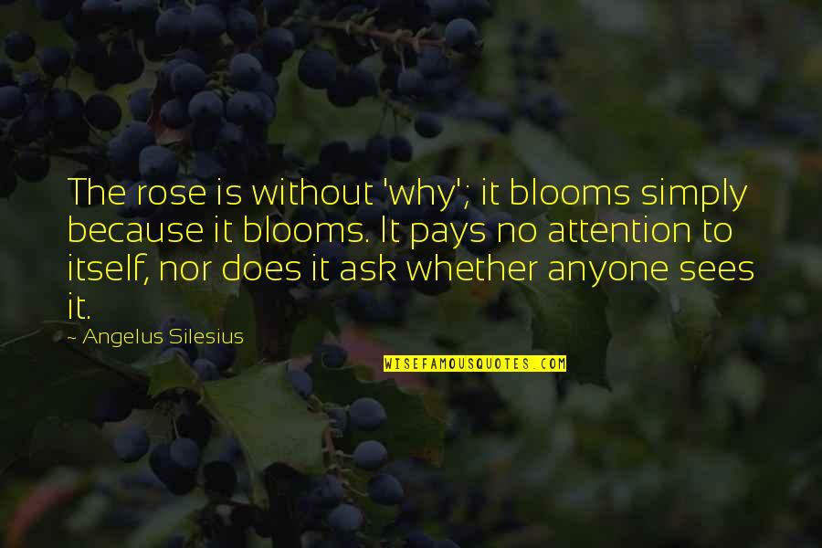 Pay No Attention Quotes By Angelus Silesius: The rose is without 'why'; it blooms simply