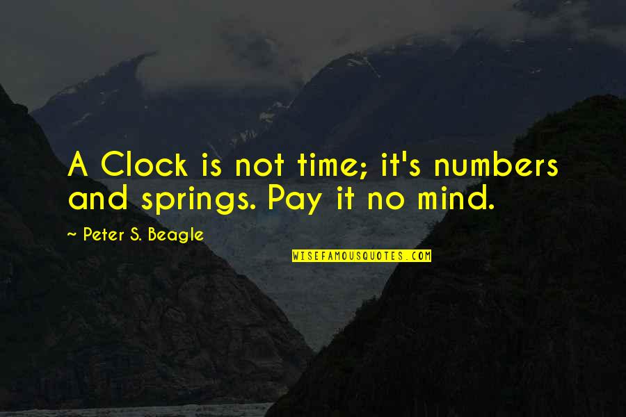 Pay No Mind Quotes By Peter S. Beagle: A Clock is not time; it's numbers and