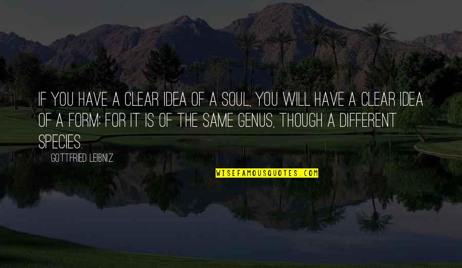 Payasadas Quotes By Gottfried Leibniz: If you have a clear idea of a Payasadas Quotes By Gottfried Leibniz: If you have a clear idea of a