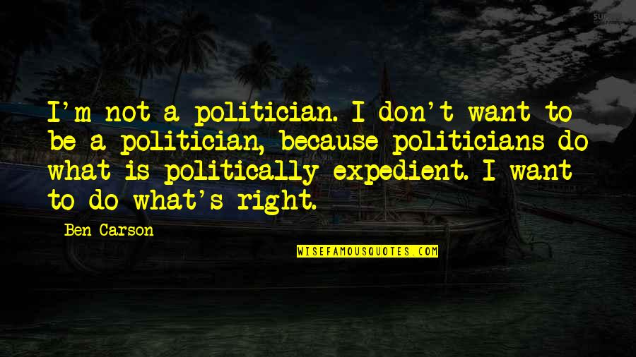 Payaso Javier Quotes By Ben Carson: I'm not a politician. I don't want to