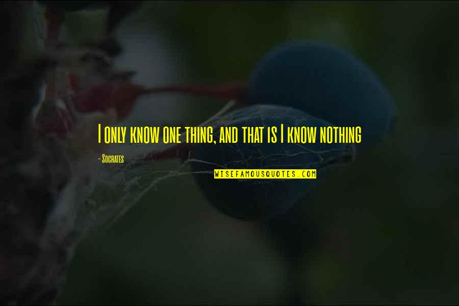 Payday 2 Hoxton Breakout Quotes By Socrates: I only know one thing, and that is