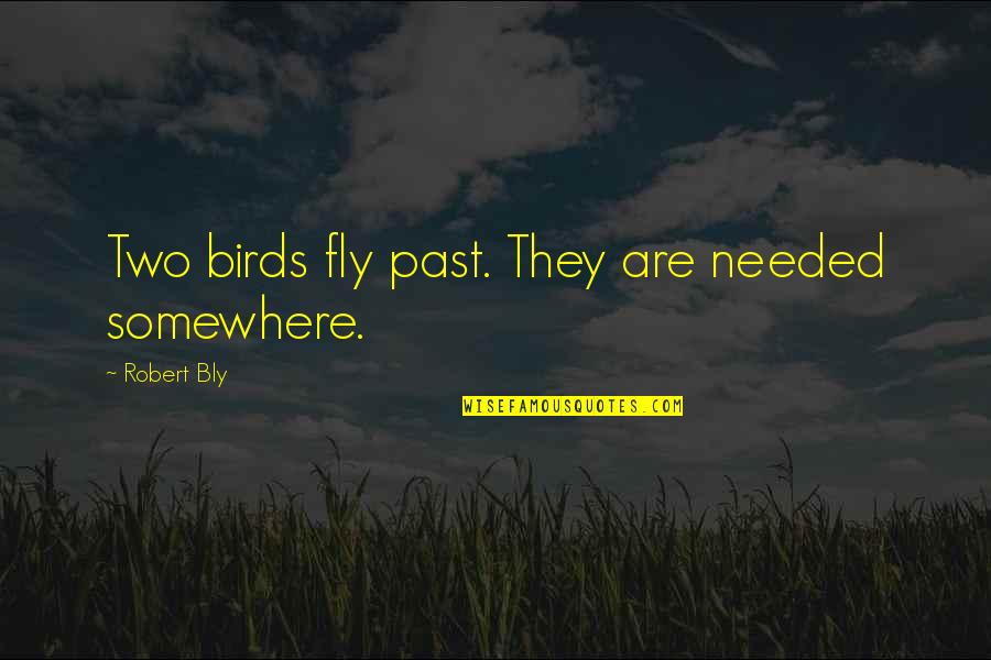 Payday Loan Quotes By Robert Bly: Two birds fly past. They are needed somewhere.