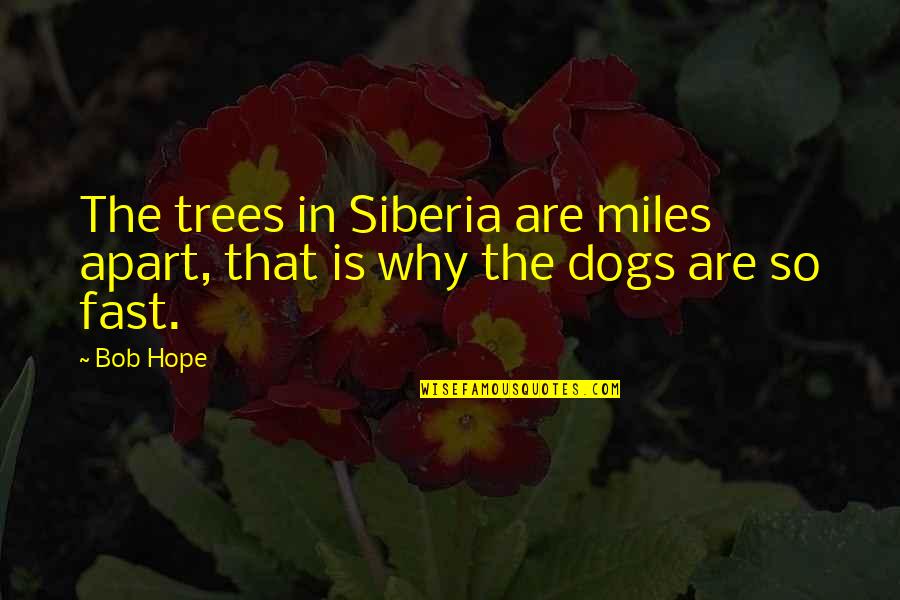 Paying Your Debts Quotes By Bob Hope: The trees in Siberia are miles apart, that