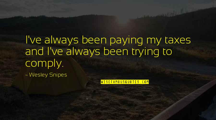 Paying Your Taxes Quotes By Wesley Snipes: I've always been paying my taxes and I've