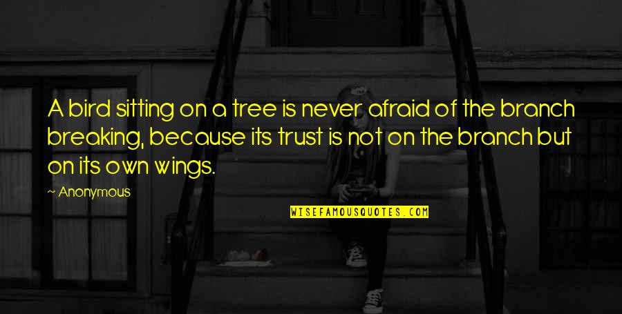 Paynims Quotes By Anonymous: A bird sitting on a tree is never Paynims Quotes By Anonymous: A bird sitting on a tree is never