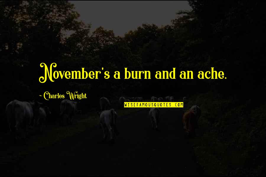 Pays Quote Quotes By Charles Wright: November's a burn and an ache.