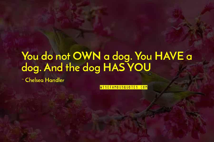 Pazarapp Quotes By Chelsea Handler: You do not OWN a dog. You HAVE