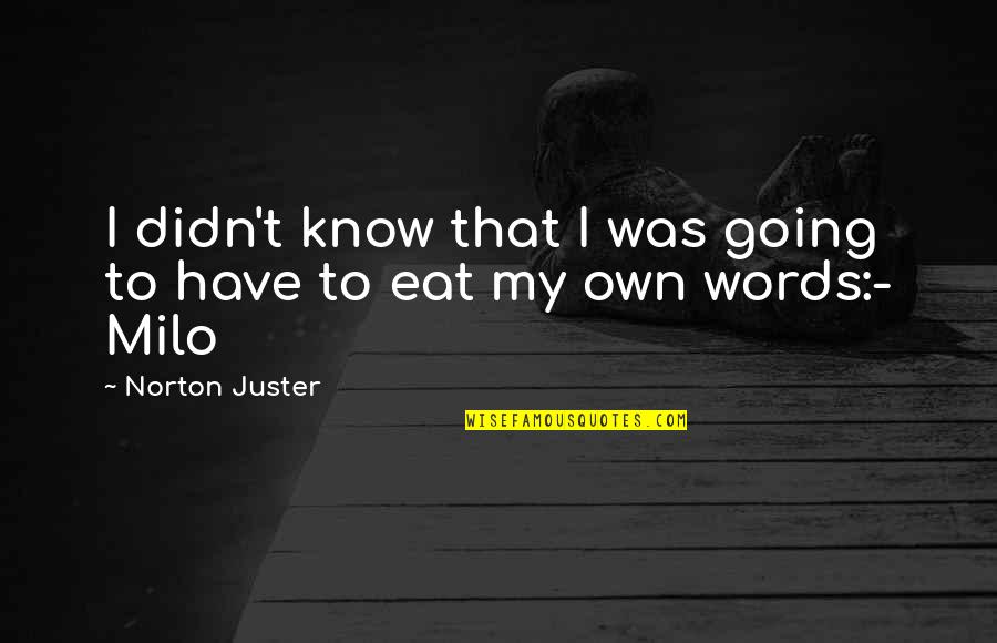 Paznicul Padurii Quotes By Norton Juster: I didn't know that I was going to