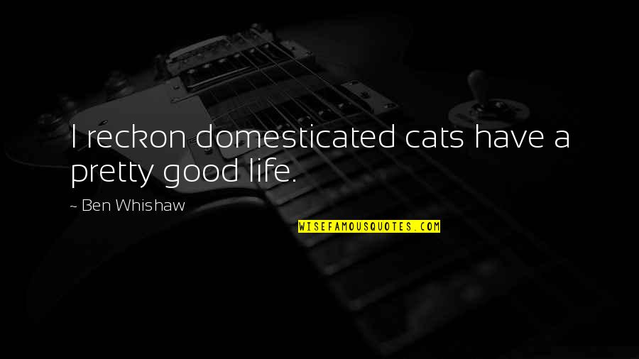 Pc Home Insurance Quotes By Ben Whishaw: I reckon domesticated cats have a pretty good
