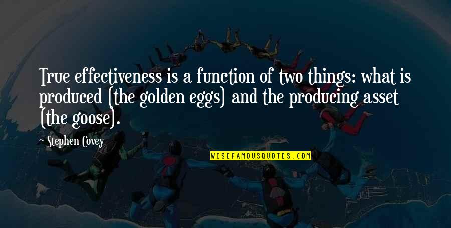 Pcgs Verify Quotes By Stephen Covey: True effectiveness is a function of two things: Pcgs Verify Quotes By Stephen Covey: True effectiveness is a function of two things: