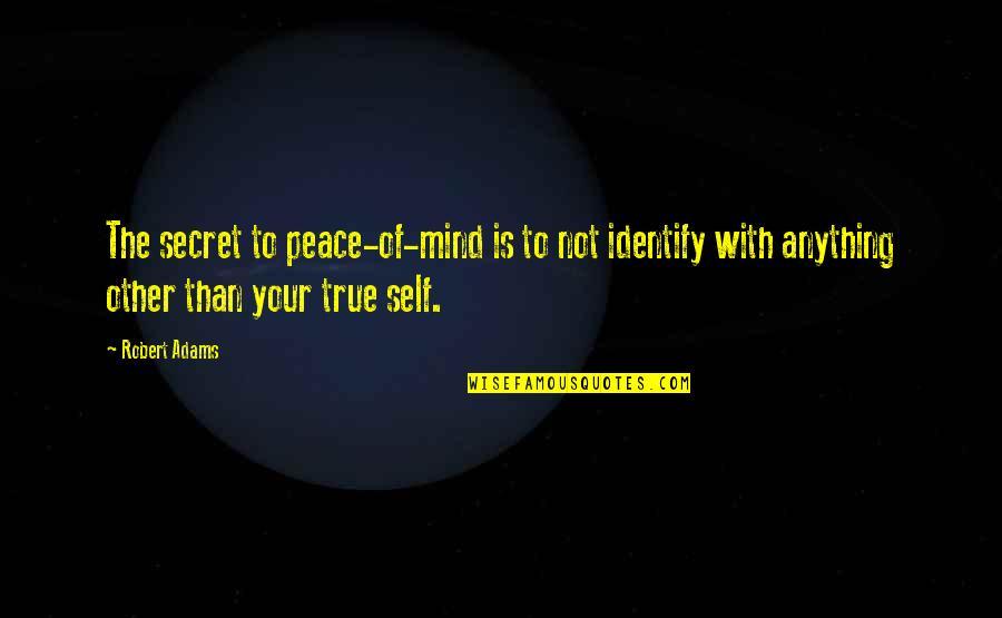 Pci Dss Quotes By Robert Adams: The secret to peace-of-mind is to not identify