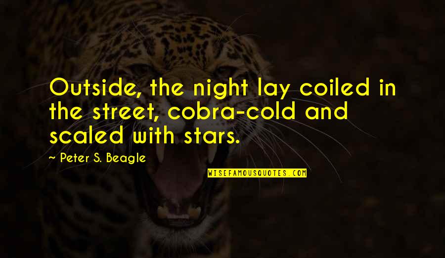 Pdf Funny Quotes By Peter S. Beagle: Outside, the night lay coiled in the street,