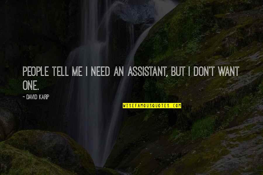 Pea Madness Quotes By David Karp: People tell me I need an assistant, but