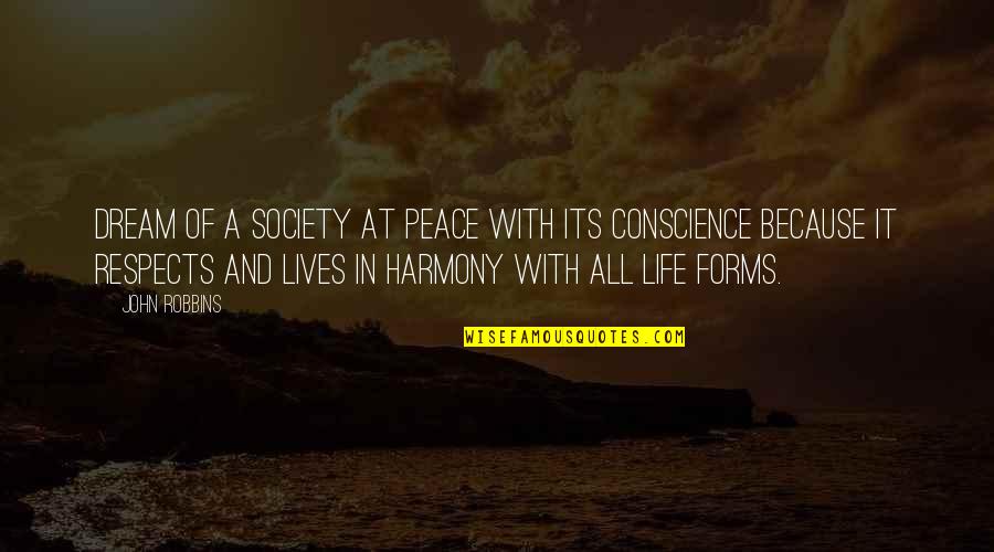 Peace And Harmony Quotes By John Robbins: Dream of a society at peace with its