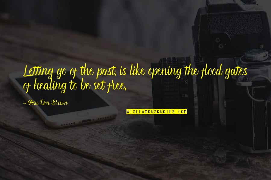 Peace And Healing Quotes By Asa Don Brown: Letting go of the past, is like opening