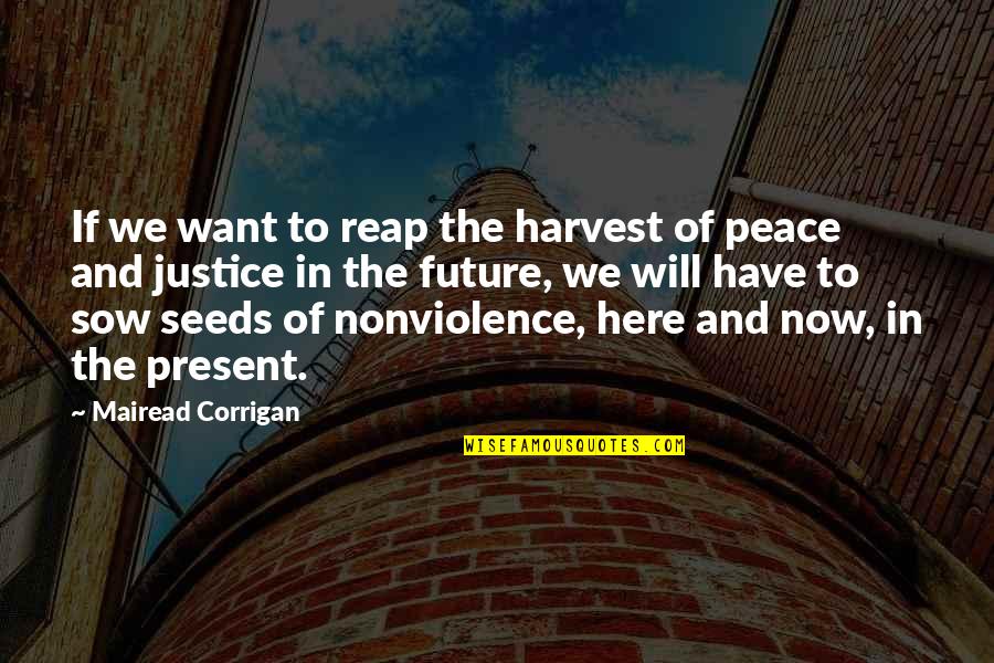 Peace And Justice Quotes By Mairead Corrigan: If we want to reap the harvest of
