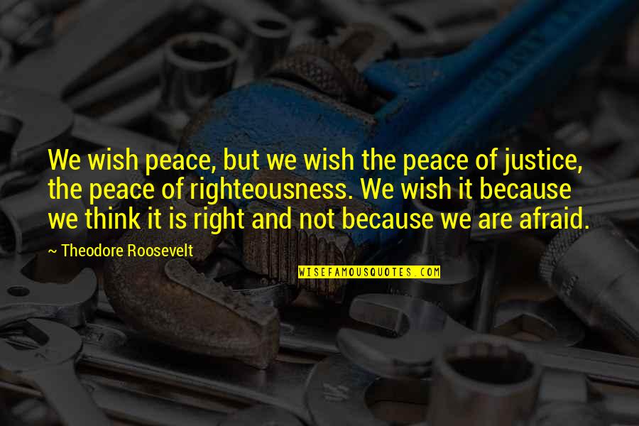 Peace And Justice Quotes By Theodore Roosevelt: We wish peace, but we wish the peace