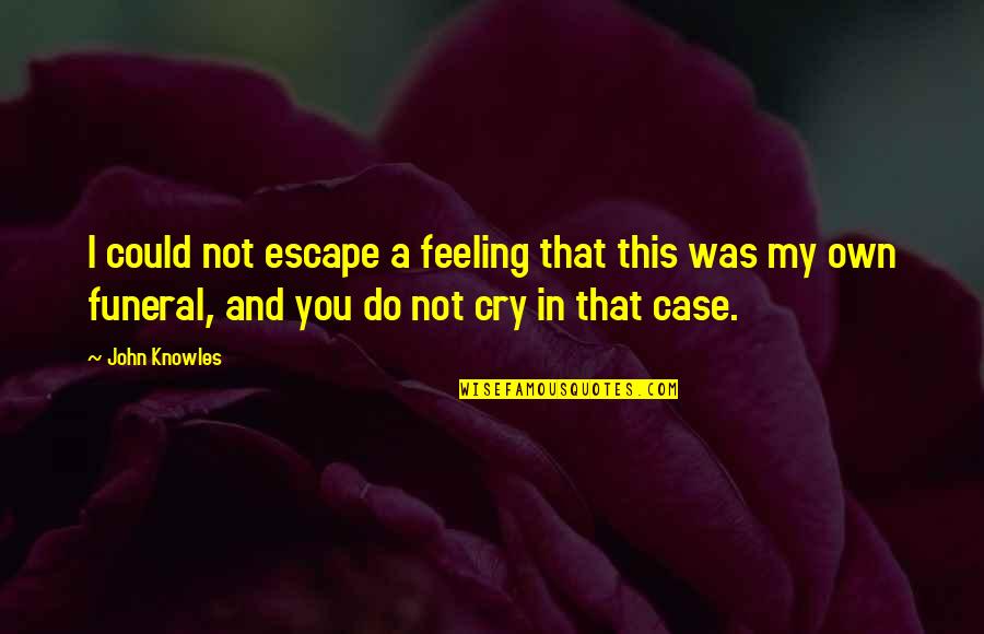Peace At Death Quotes By John Knowles: I could not escape a feeling that this Peace At Death Quotes By John Knowles: I could not escape a feeling that this