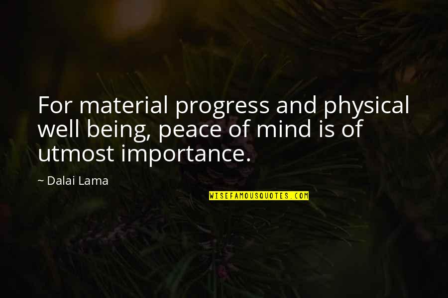 Peace Dalai Lama Quotes By Dalai Lama: For material progress and physical well being, peace