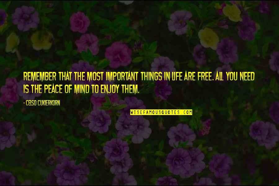 Peace Free Your Mind Quotes By Celso Cukierkorn: Remember that the most important things in life