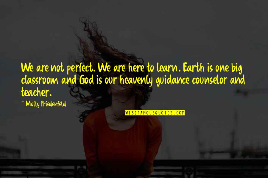 Peace In Heaven Quotes By Molly Friedenfeld: We are not perfect. We are here to Peace In Heaven Quotes By Molly Friedenfeld: We are not perfect. We are here to