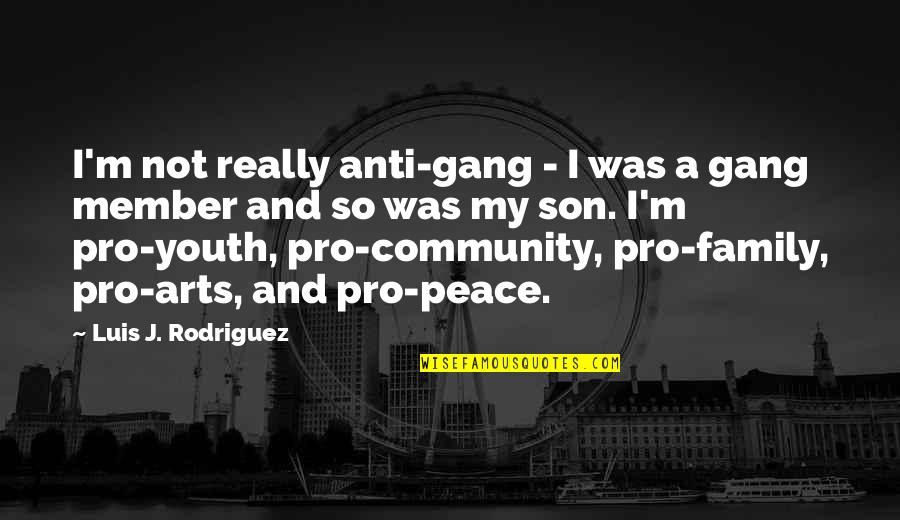 Peace In The Community Quotes By Luis J. Rodriguez: I'm not really anti-gang - I was a Peace In The Community Quotes By Luis J. Rodriguez: I'm not really anti-gang - I was a