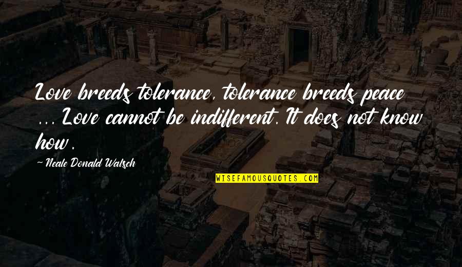 Peace Love Tolerance Quotes By Neale Donald Walsch: Love breeds tolerance, tolerance breeds peace ... Love