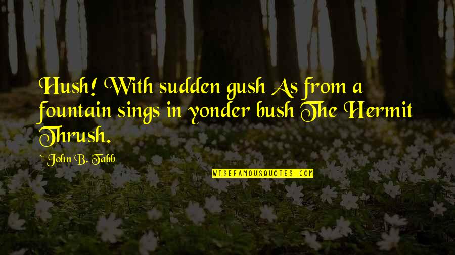 Peace Makers Quotes By John B. Tabb: Hush! With sudden gush As from a fountain