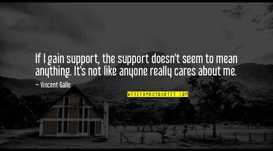 Peace Negotiations Quotes By Vincent Gallo: If I gain support, the support doesn't seem Peace Negotiations Quotes By Vincent Gallo: If I gain support, the support doesn't seem