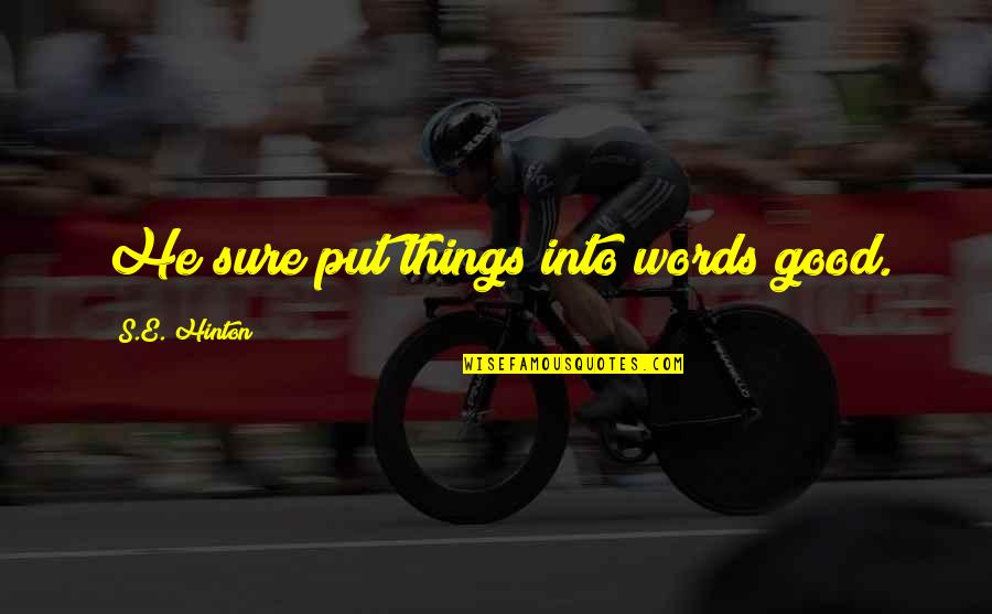 Peace Of Mind Buddha Quotes By S.E. Hinton: He sure put things into words good.