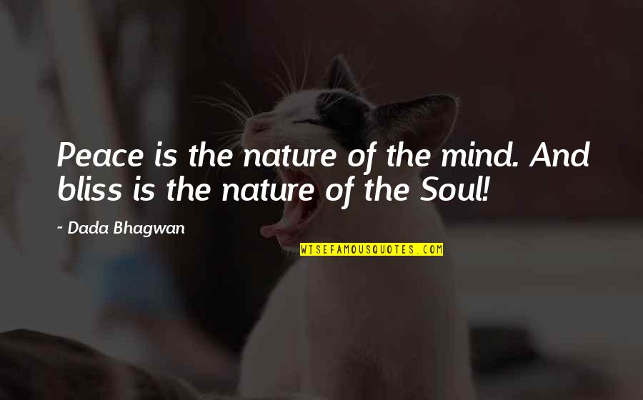 Peace Of Soul Quotes By Dada Bhagwan: Peace is the nature of the mind. And