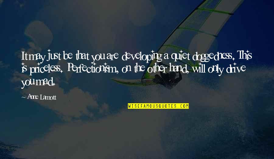 Peace On The Beach Quotes By Anne Lamott: It may just be that you are developing