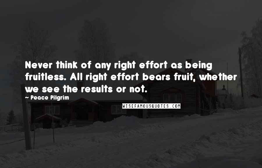 Peace Pilgrim quotes: Never think of any right effort as being fruitless. All right effort bears fruit, whether we see the results or not.