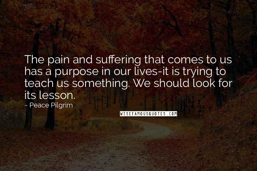 Peace Pilgrim quotes: The pain and suffering that comes to us has a purpose in our lives-it is trying to teach us something. We should look for its lesson.