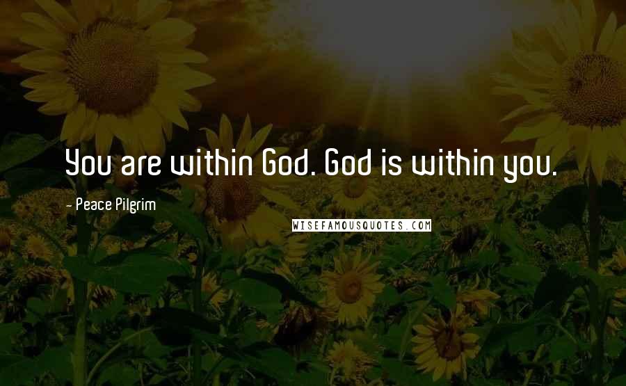 Peace Pilgrim quotes: You are within God. God is within you.