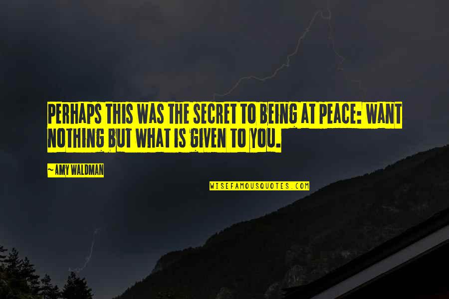 Peace To You Quotes By Amy Waldman: Perhaps this was the secret to being at
