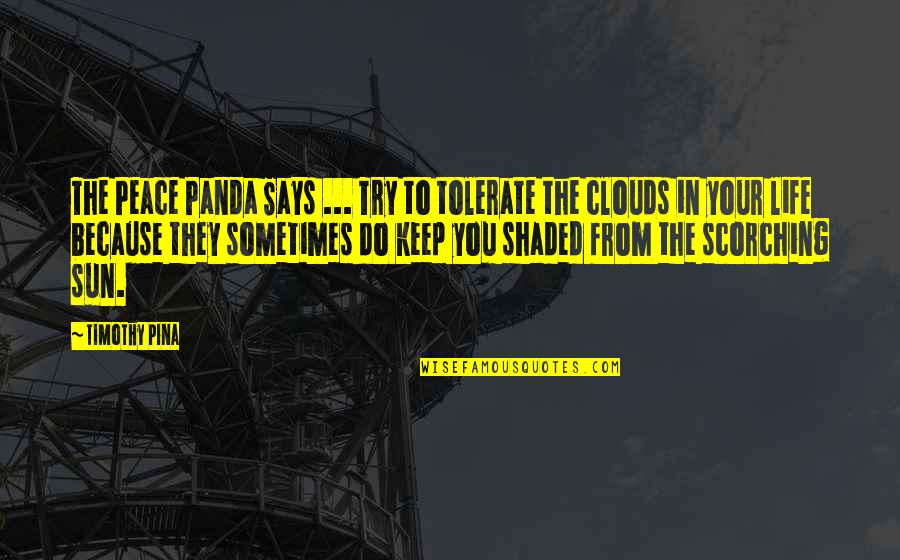 Peace To You Quotes By Timothy Pina: The Peace Panda Says ... Try to tolerate