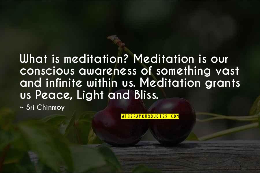 Peace Within Quotes By Sri Chinmoy: What is meditation? Meditation is our conscious awareness