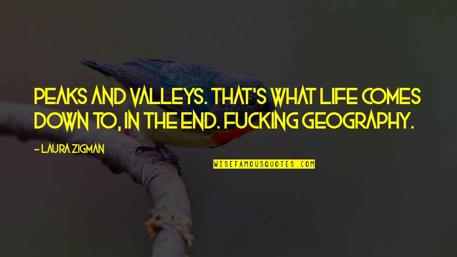 Peaceful And Quiet Quotes By Laura Zigman: Peaks and valleys. That's what life comes down