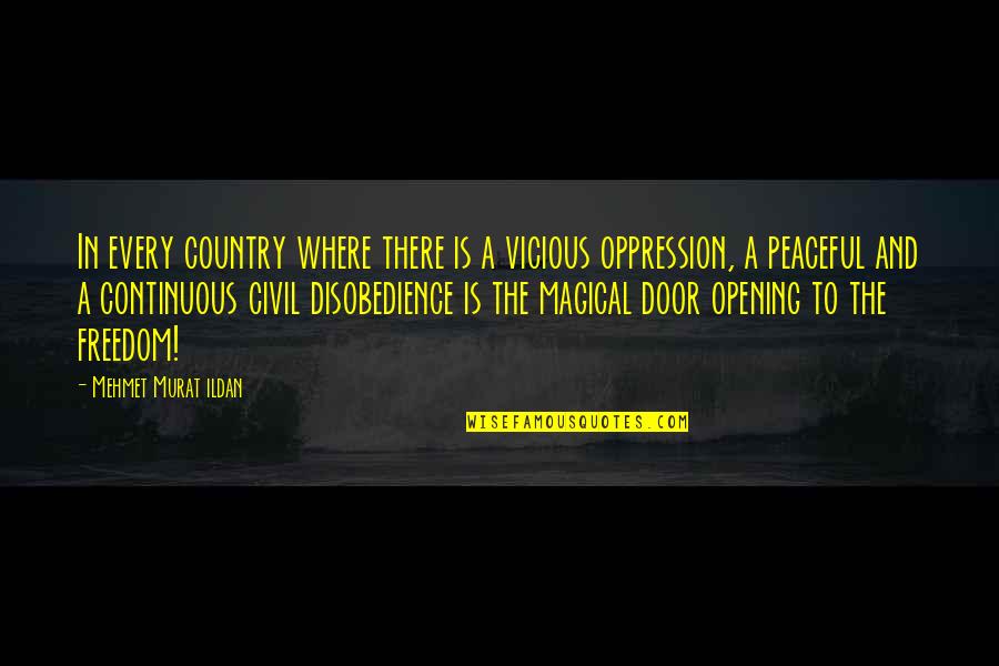 Peaceful Country Quotes By Mehmet Murat Ildan: In every country where there is a vicious