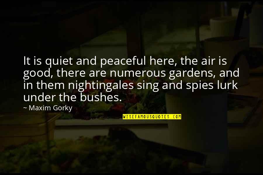 Peaceful Garden Quotes By Maxim Gorky: It is quiet and peaceful here, the air