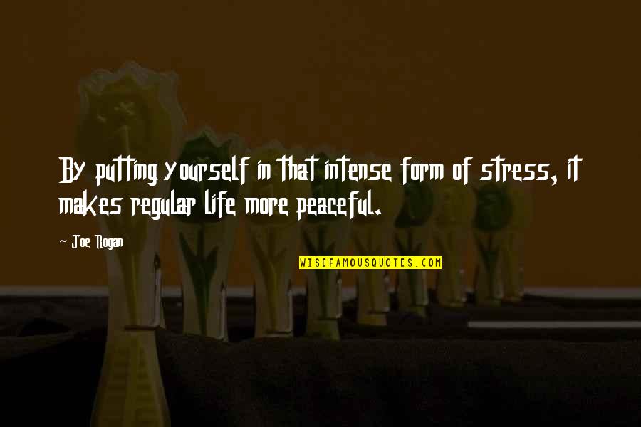 Peaceful Life Quotes By Joe Rogan: By putting yourself in that intense form of