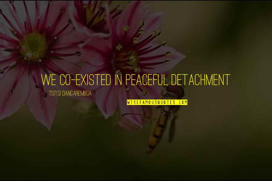 Peaceful Relationships Quotes By Tsitsi Dangarembga: We co-existed in peaceful detachment Peaceful Relationships Quotes By Tsitsi Dangarembga: We co-existed in peaceful detachment