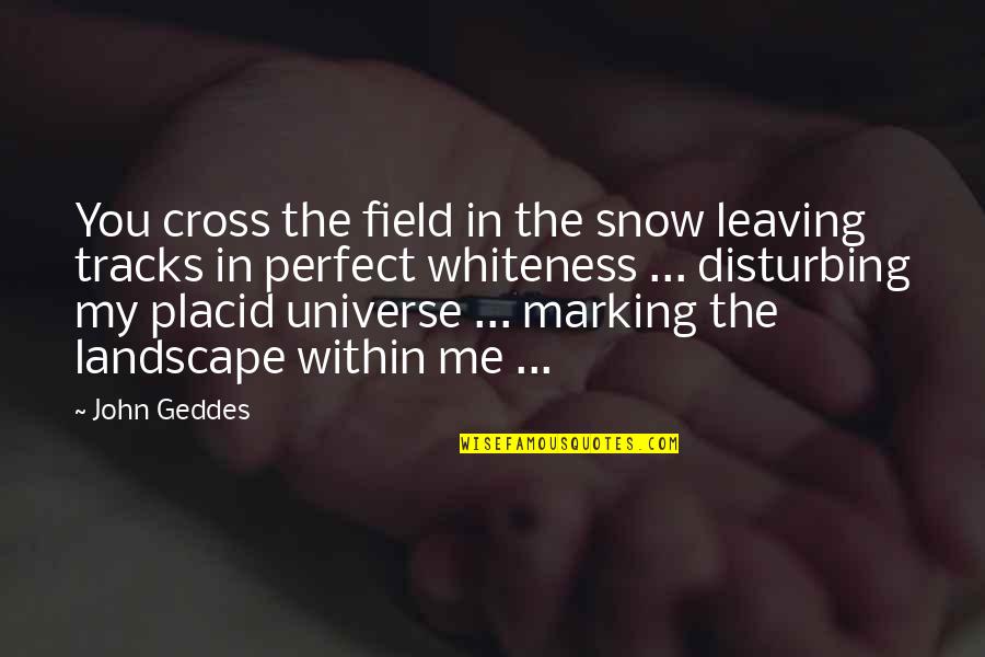 Peaceful Snow Quotes By John Geddes: You cross the field in the snow leaving