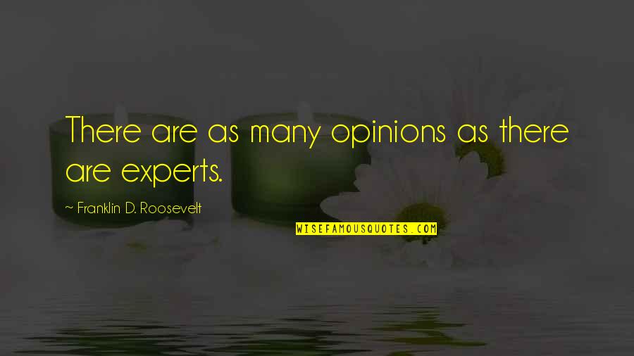 Peacemaking Quotes By Franklin D. Roosevelt: There are as many opinions as there are Peacemaking Quotes By Franklin D. Roosevelt: There are as many opinions as there are